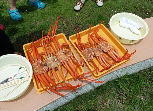 053-001.JPG