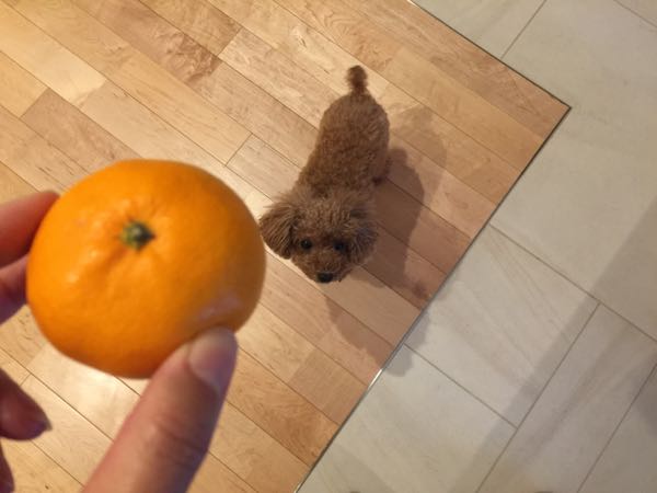 rblog-20161209112305-00.jpg