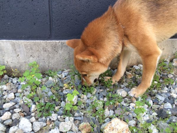 rblog-20160423092054-01.jpg