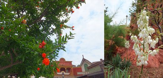 Flower65