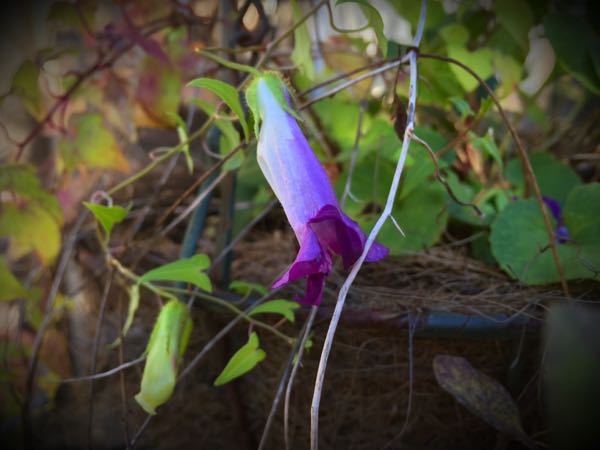 rblog-20151127134606-01.jpg