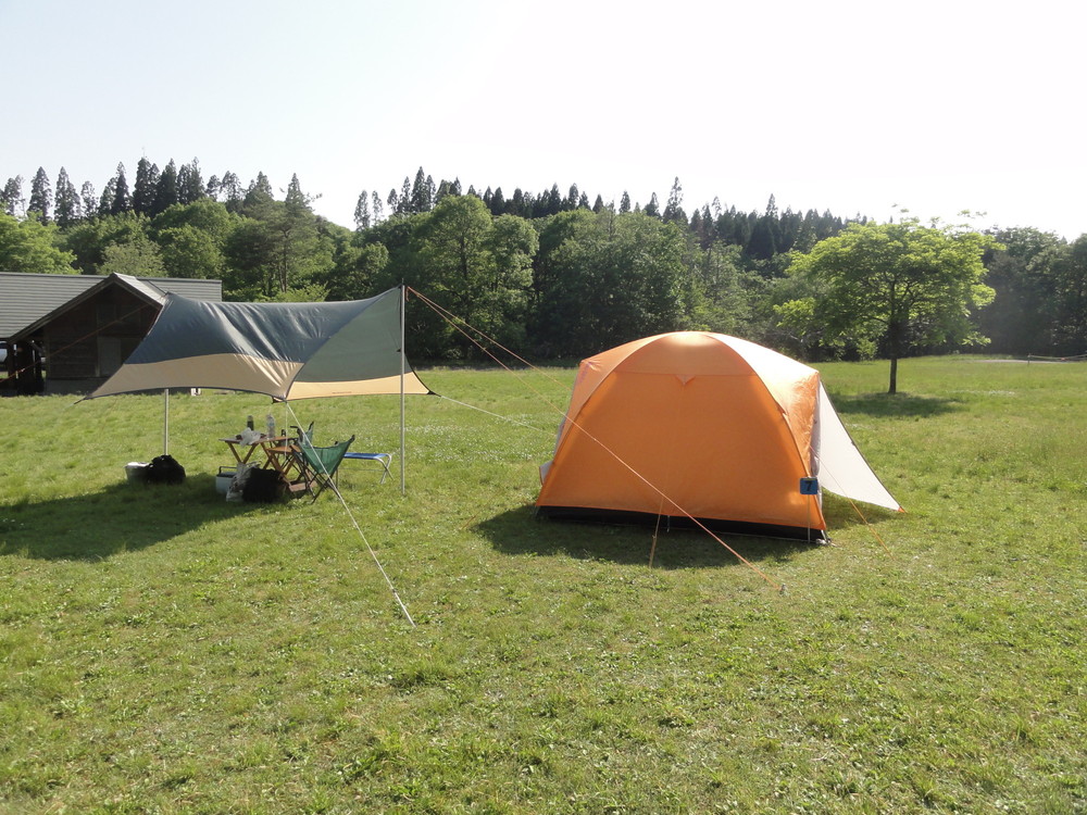 DSC08329.jpg