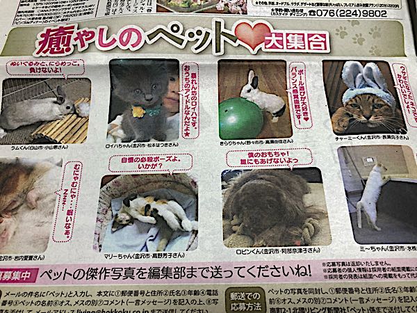 rblog-20180405184303-01.jpg