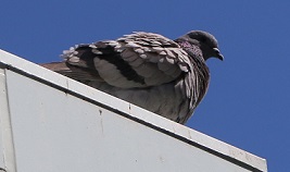IMG_3070-15.jpg