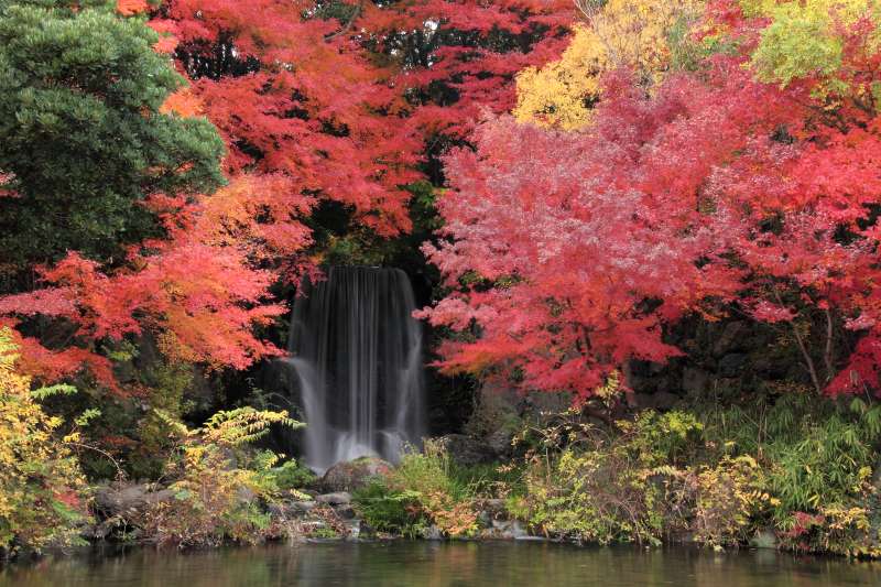 万博記念公園_003.jpg