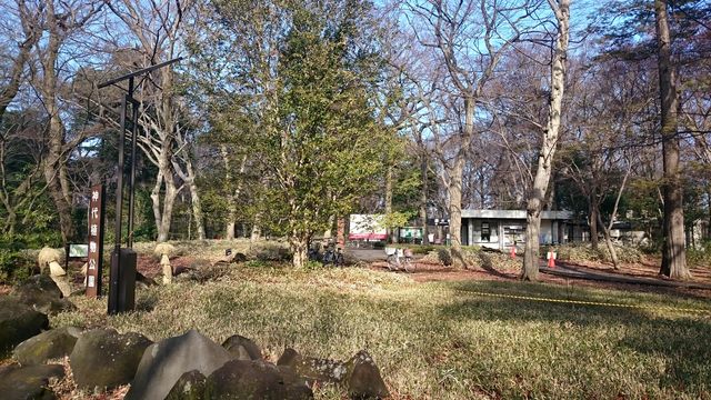 2016-01-31 10.04.37.jpg