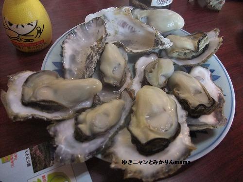 DSCF5046.jpg
