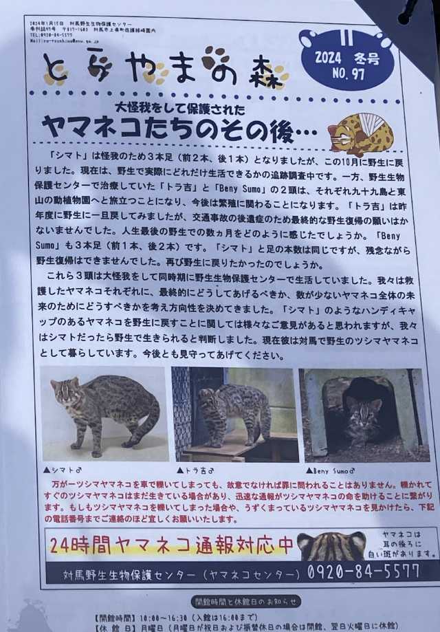 うとうとベニースモ ツシマヤマネコ | 今日は誰と会えるかな だいたい