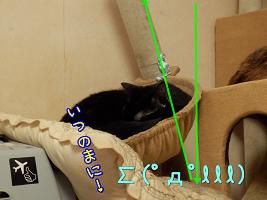 いつの間に.JPG