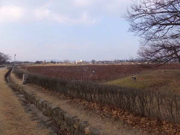 rblog-20150201210800-03.jpg