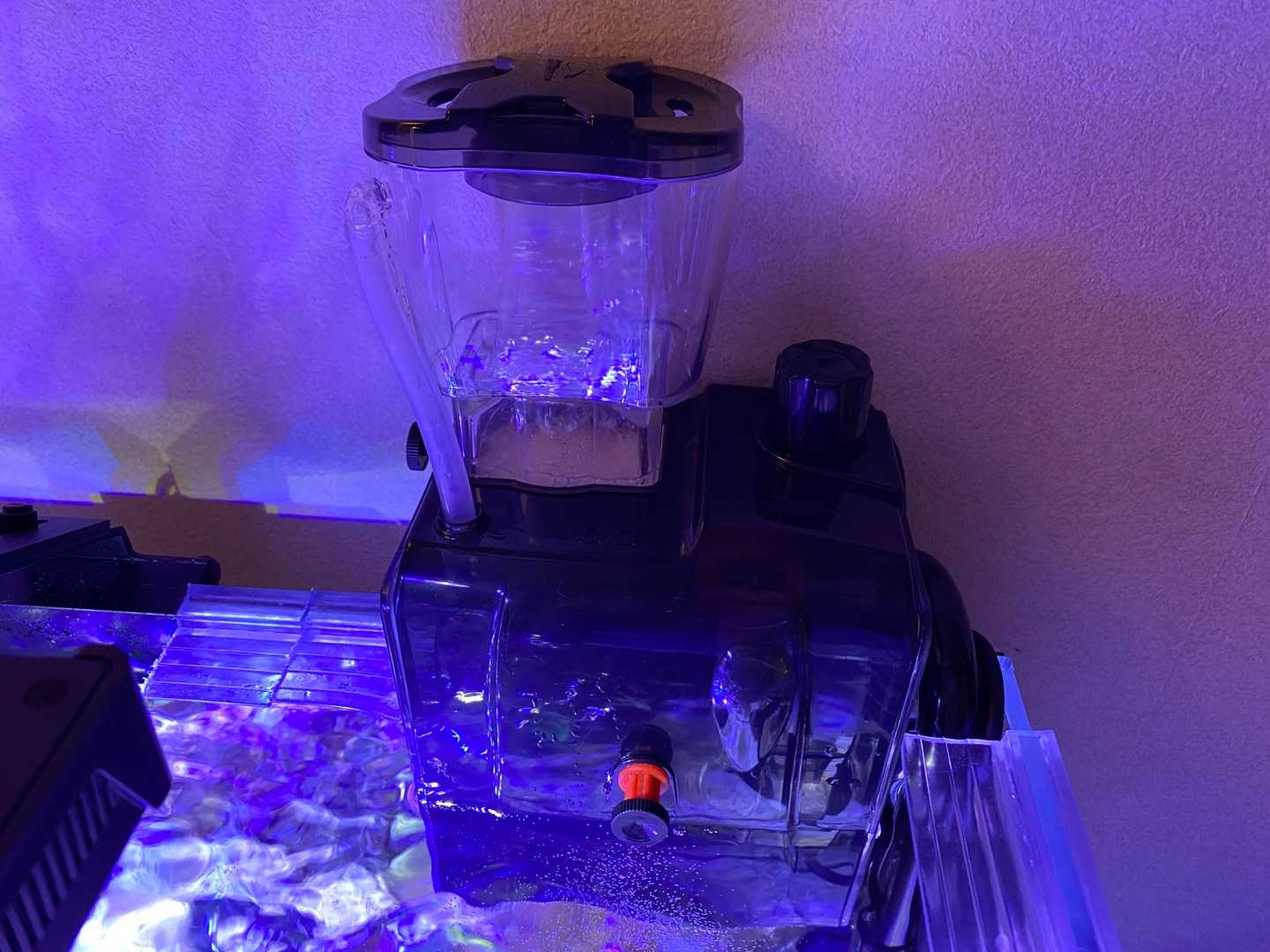 新たなる海水魚水槽22】QQ1スキマーメンテナンス | ありえない