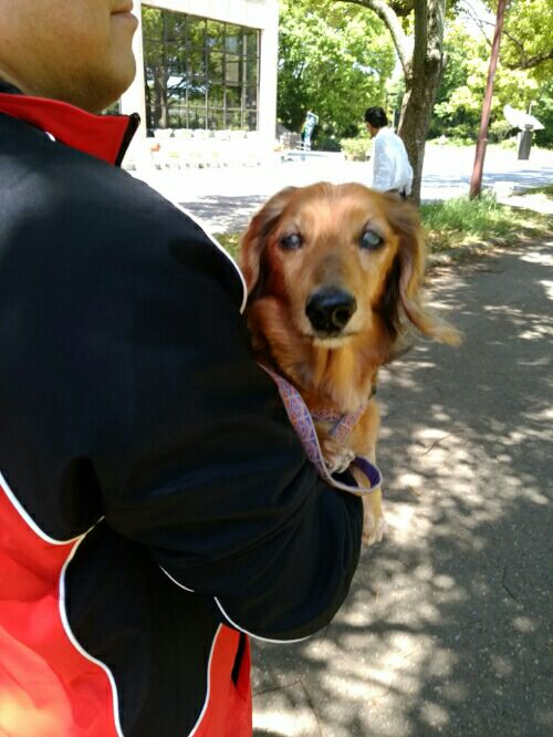 rblog-20160510080345-02.jpg