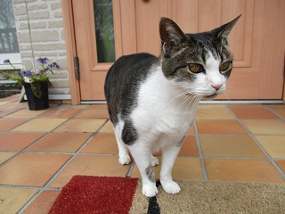 IMG_9735ss.jpg