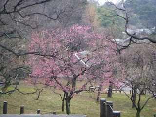 DSCN3701.JPG