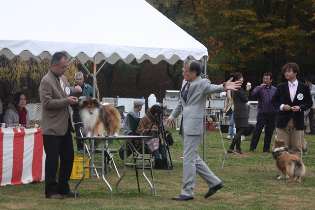 IMG_2315 - コピー.JPG