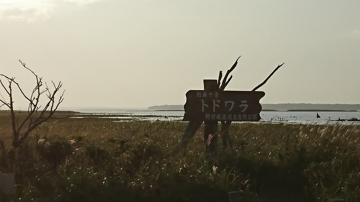 DSC_0554.JPG