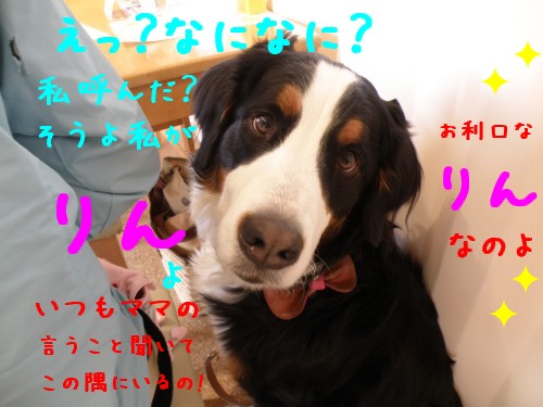 りん (2).JPG