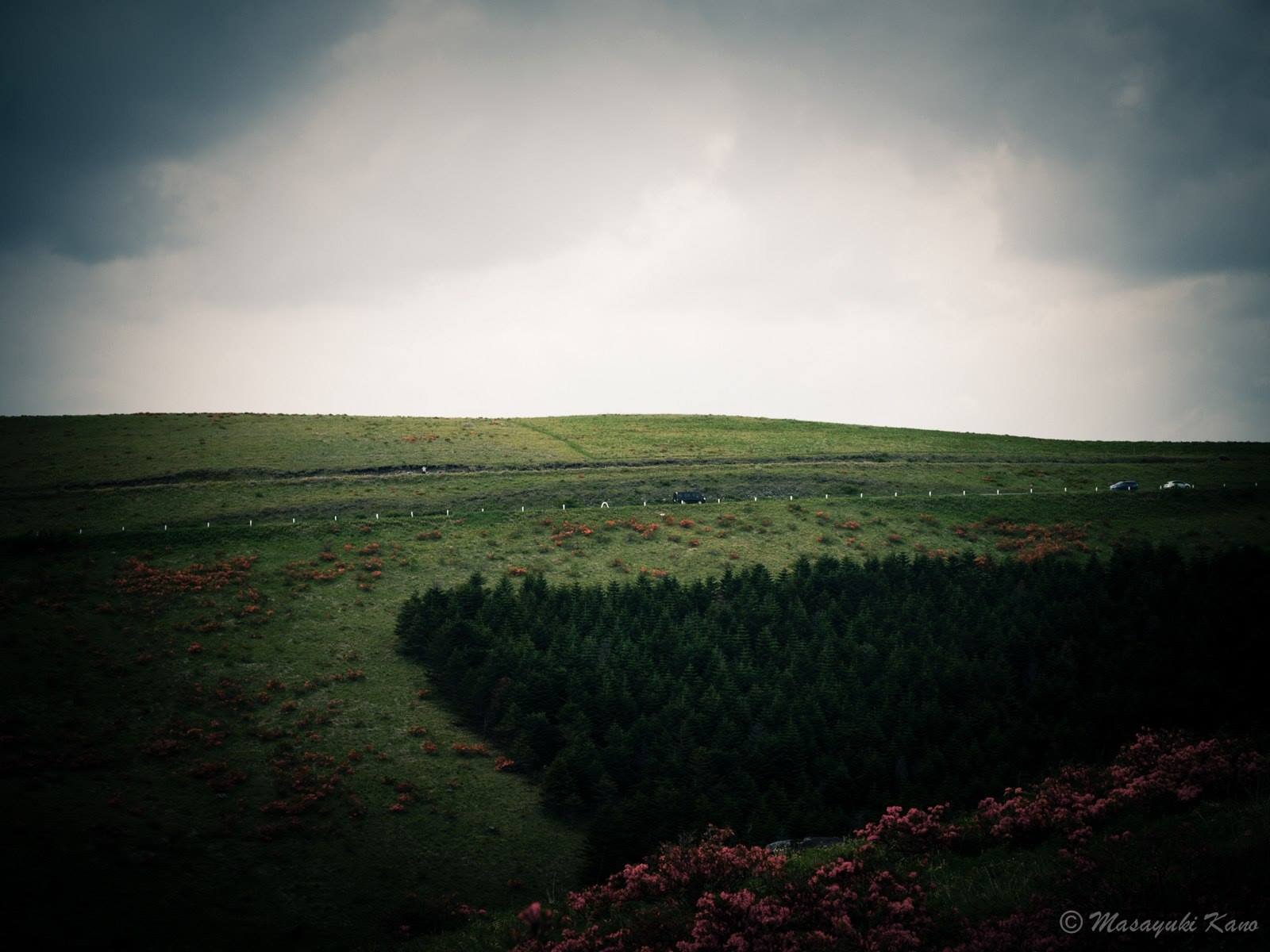 20150615-6