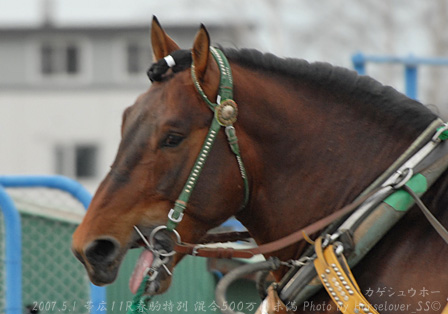 08Kageshuho050107Ob11R_01