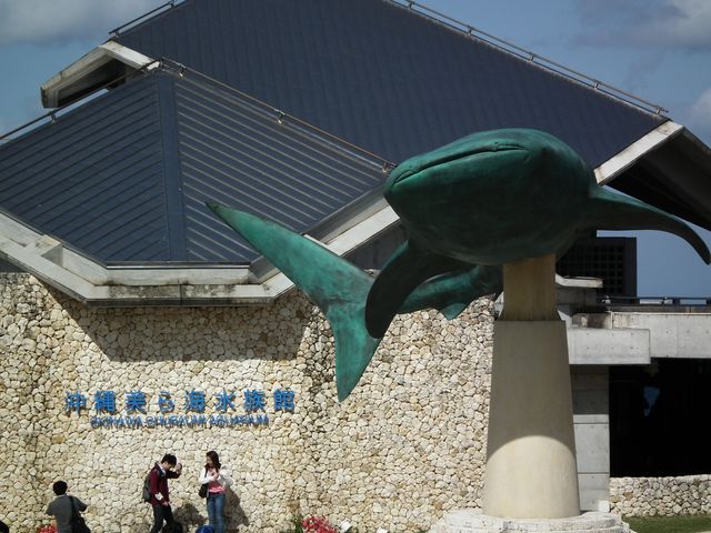 DSCF9146.JPG