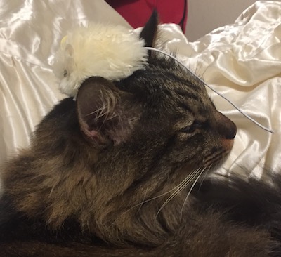 2016-12-24 23.23.23.jpg