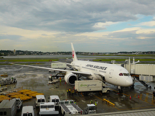 JAL 787.jpg