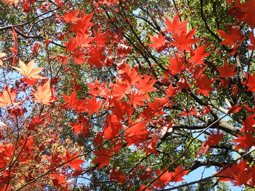 日比谷公園