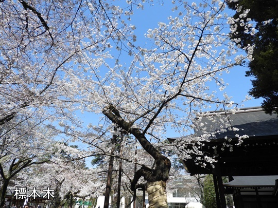 靖國神社