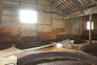 ネイチャーツアー