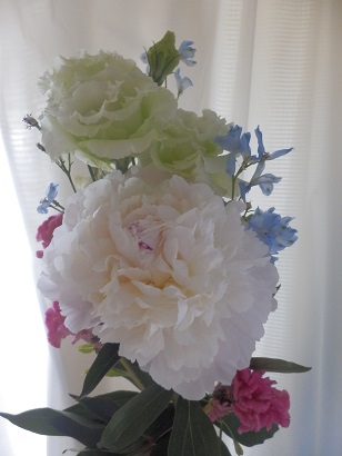 芍薬