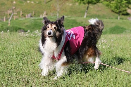 IMG_9872.jpg
