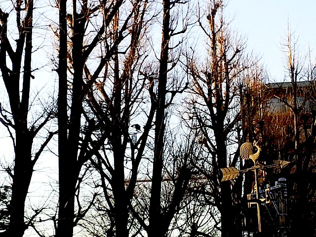 140116_155652.jpg