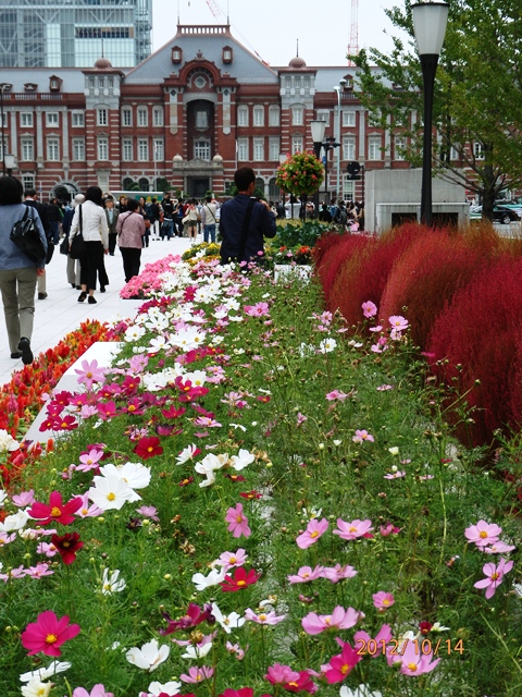 東京駅　PA140157.jpg