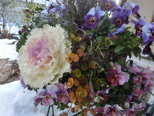 ハンギング寄せ植え