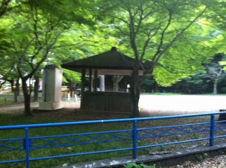 010.jpg