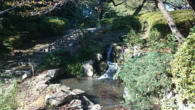 2015-11-03 13.34.31.jpg