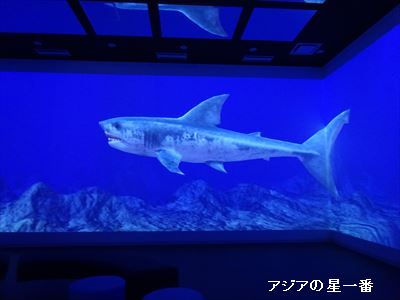 20160513 タオル美術館 佐田岬21