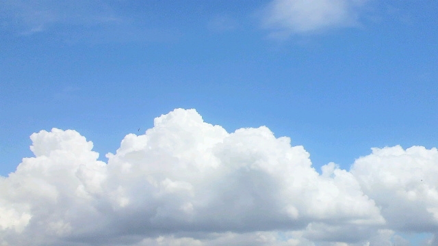 p7.JPG