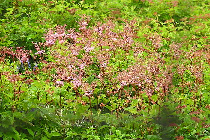 0162DSCN5053.JPG