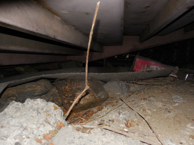 ブログ1・16 015.JPG