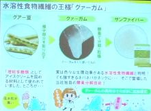 サンファイバー01.jpg
