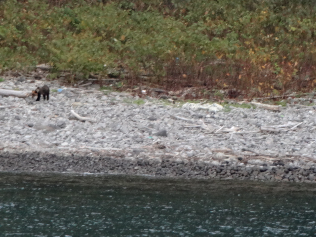 2012-10-06 14.50.17 - コピー.jpg