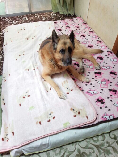 rblog-20190214120424-02.jpg