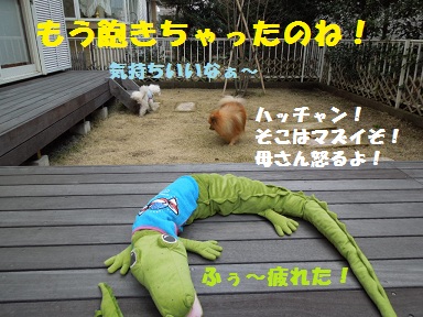 あきた