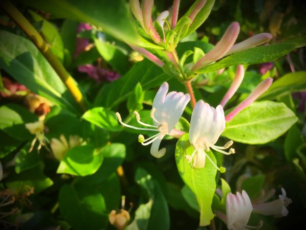 rblog-20170521094737-01.jpg