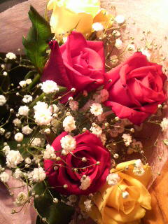 2012-11-29 02:12:16