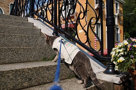 IMG_4036-26.jpg