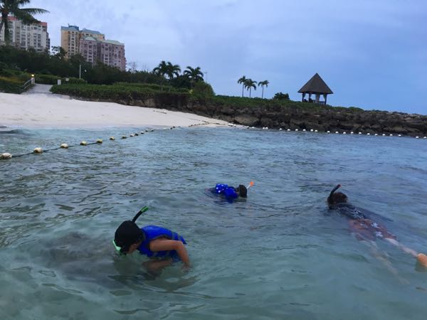 rblog-20160817142439-07.jpg