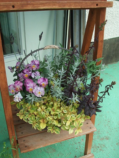 2012_0419トレッサ用寄せ植えとクレマチスの講座とカ0020.JPG