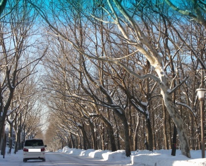 2015-12-30street.JPG